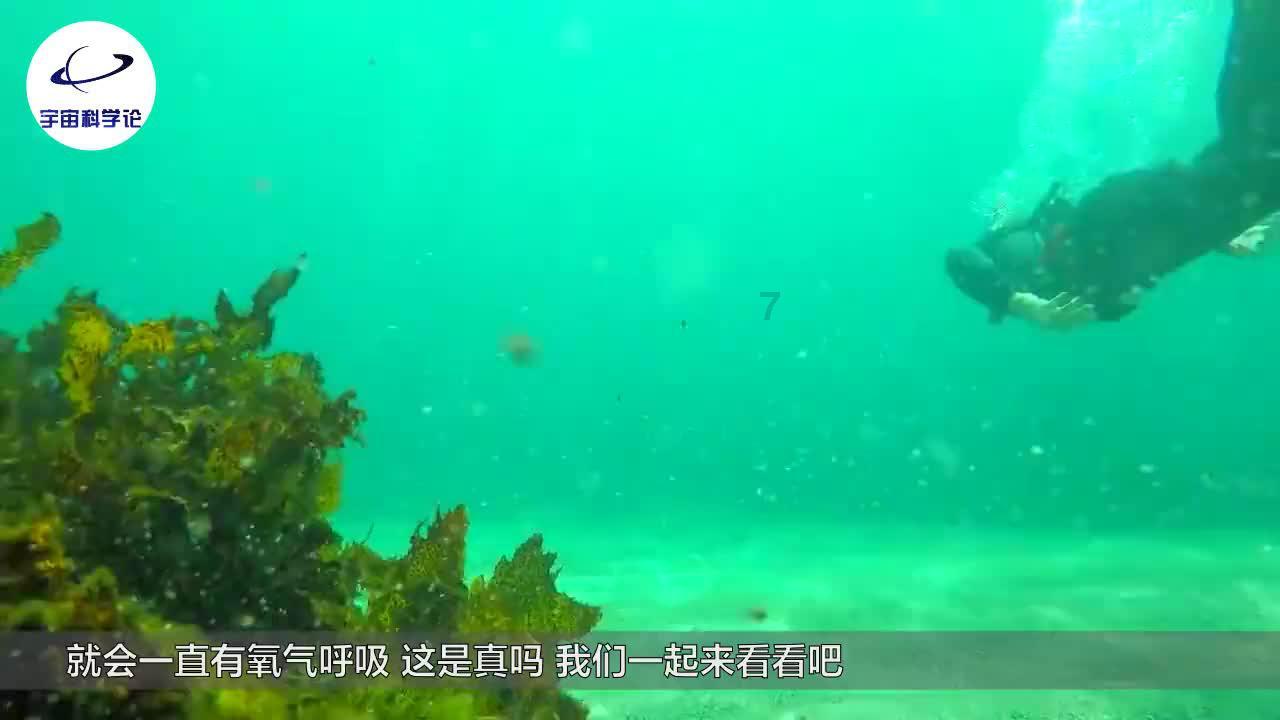 全市学校食品安全负责人约谈培训暨落实食品安全“两个责任”工作会召开